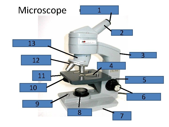 Microscope 1 Eyepiece, ocular lens 2 bodytube 13 Revolving nosepiece arm 12 Objective lens