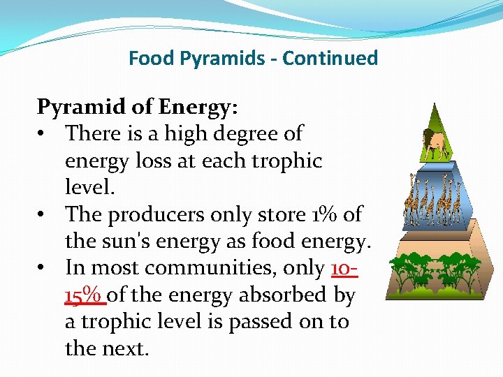Food Pyramids - Continued Pyramid of Energy: • There is a high degree of