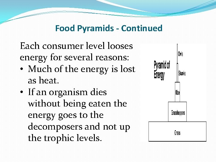 Food Pyramids - Continued Each consumer level looses energy for several reasons: • Much