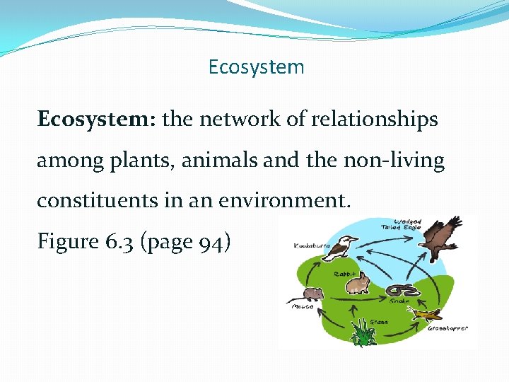 Ecosystem: the network of relationships among plants, animals and the non-living constituents in an