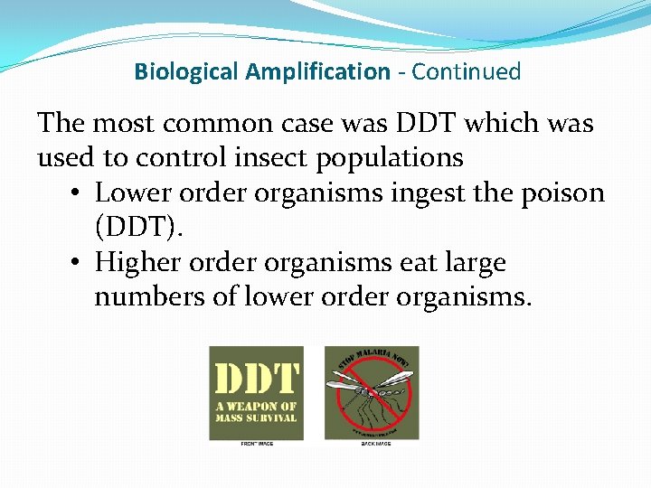 Biological Amplification - Continued The most common case was DDT which was used to