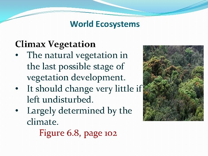 World Ecosystems Climax Vegetation • The natural vegetation in the last possible stage of