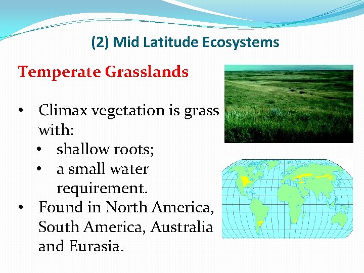 (2) Mid Latitude Ecosystems Temperate Grasslands • Climax vegetation is grass with: • shallow