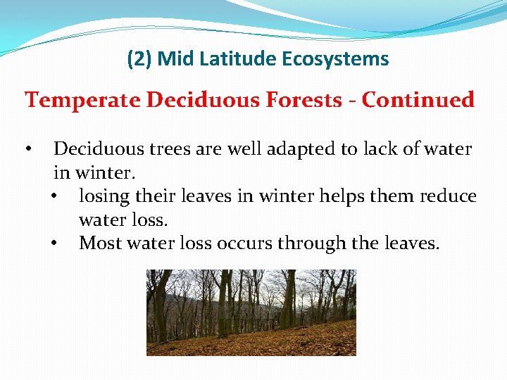 (2) Mid Latitude Ecosystems Temperate Deciduous Forests - Continued • Deciduous trees are well