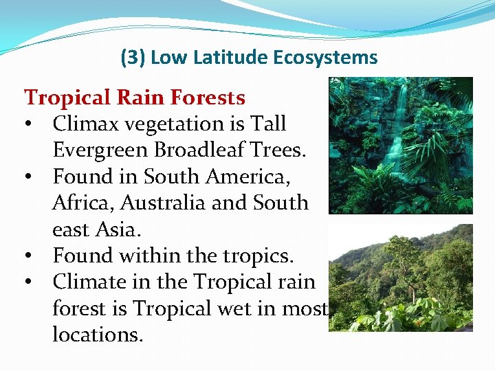 (3) Low Latitude Ecosystems Tropical Rain Forests • Climax vegetation is Tall Evergreen Broadleaf