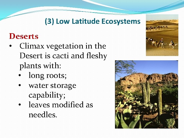 (3) Low Latitude Ecosystems Deserts • Climax vegetation in the Desert is cacti and