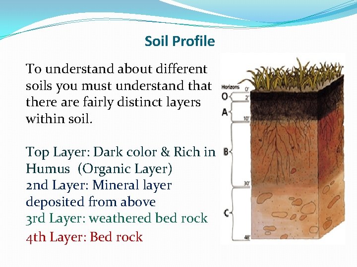 Soil Profile To understand about different soils you must understand that there are fairly