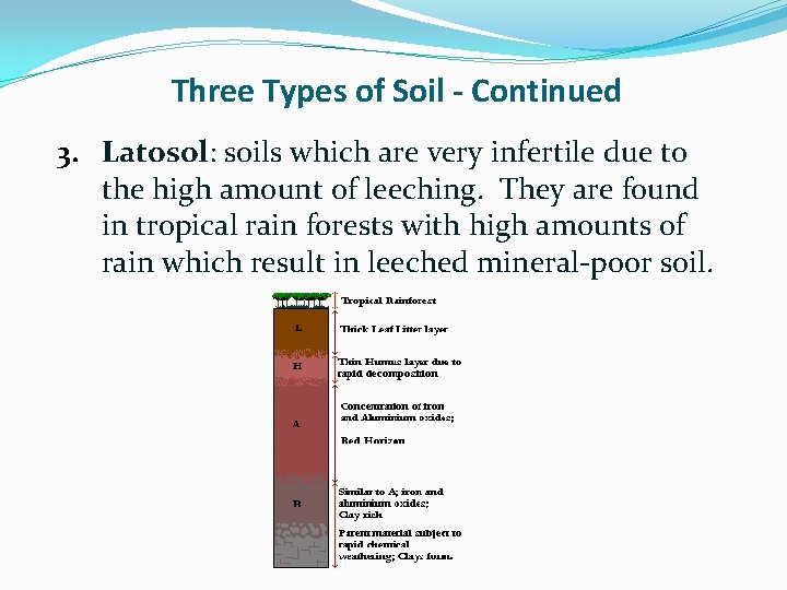 Three Types of Soil - Continued 3. Latosol: soils which are very infertile due