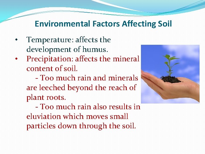 Environmental Factors Affecting Soil • • Temperature: affects the development of humus. Precipitation: affects