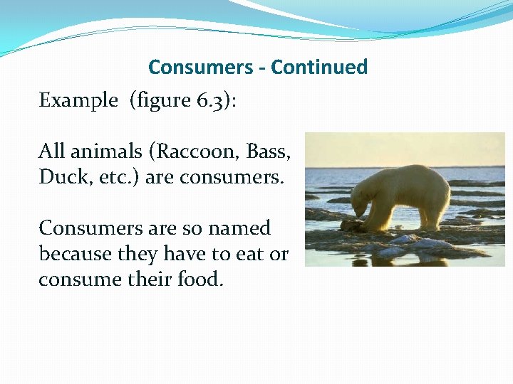 Consumers - Continued Example (figure 6. 3): All animals (Raccoon, Bass, Duck, etc. )