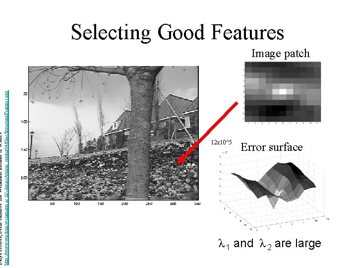 Darya Frolova, Denis Simakov The Weizmann Institute of Science http: //www. wisdom. weizmann. ac.