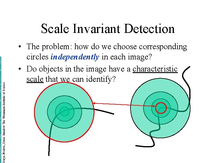 http: //www. wisdom. weizmann. ac. il/~deniss/vision_spring 04/files/Invariant. Features. ppt Darya Frolova, Denis Simakov The