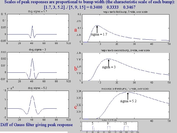 Scales of peak responses are proportional to bump width (the characteristic scale of each