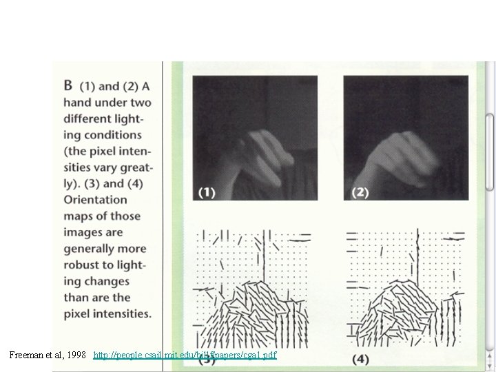 Freeman et al, 1998 http: //people. csail. mit. edu/billf/papers/cga 1. pdf 