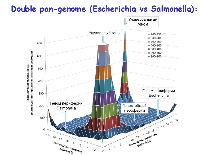 Double pan-genome (Escherichia vs Salmonella): 