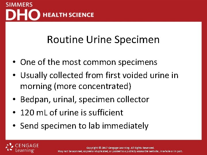 Routine Urine Specimen • One of the most common specimens • Usually collected from