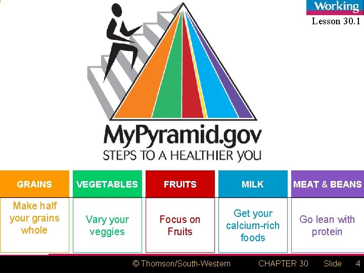 Lesson 30. 1 GRAINS VEGETABLES FRUITS MILK MEAT & BEANS Make half your grains