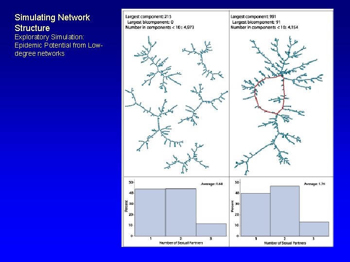 Simulating Network Structure Exploratory Simulation: Epidemic Potential from Lowdegree networks 