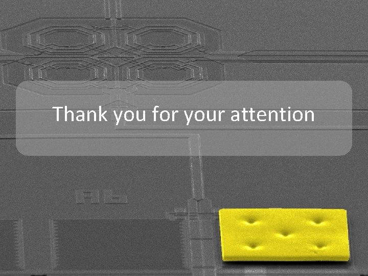 Thank you for your attention 