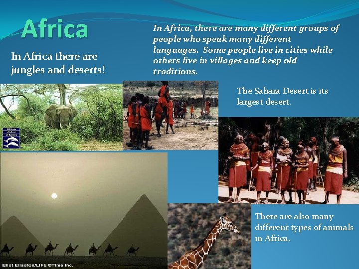 Africa In Africa there are jungles and deserts! In Africa, there are many different