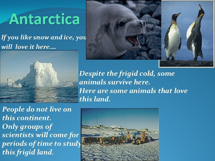 Antarctica If you like snow and ice, you will love it here…. Despite the