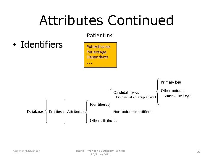 Attributes Continued • Identifiers Component 4/Unit 6 -2 Health IT Workforce Curriculum Version 2. Attributes Continued • Identifiers Component 4/Unit 6 -2 Health IT Workforce Curriculum Version 2.