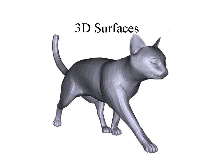 3 D Surfaces 