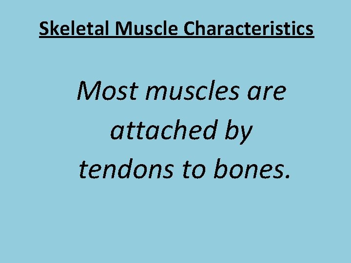 Skeletal Muscle Characteristics Most muscles are attached by tendons to bones. 