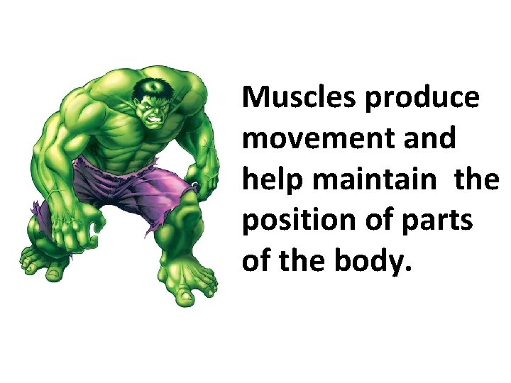 Muscles produce movement and help maintain the position of parts of the body. 
