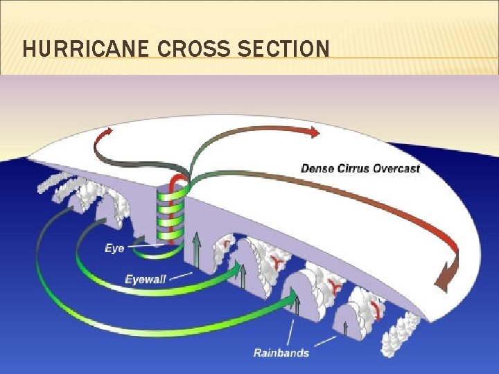 HURRICANE CROSS SECTION 