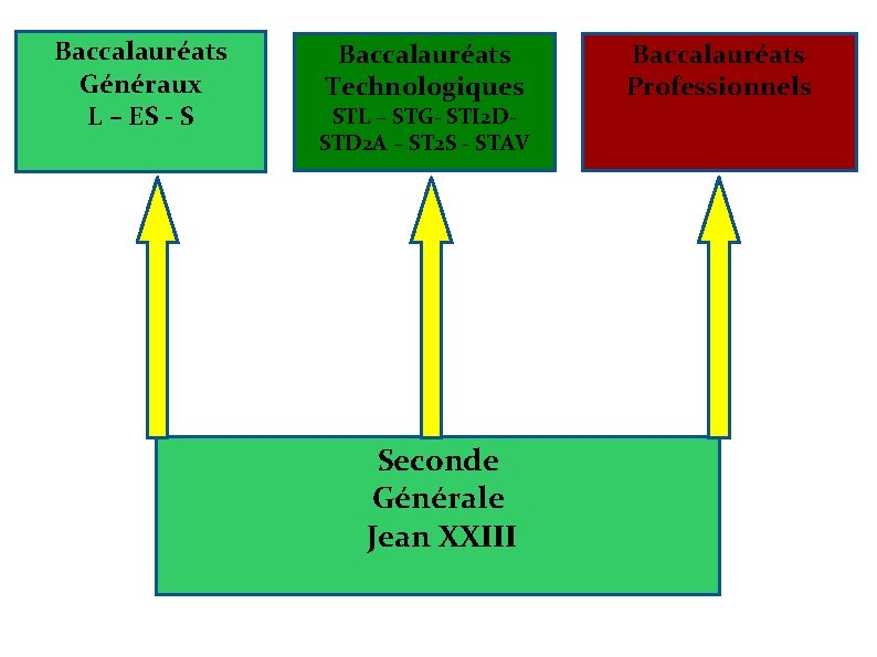 Baccalauréats Généraux L – ES - S Baccalauréats Technologiques Baccalauréats Professionnels STL – STG-