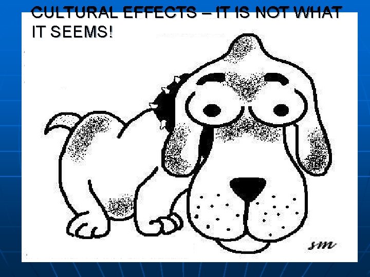 CULTURAL EFFECTS – IT IS NOT WHAT IT SEEMS! POM - J. Galván 9