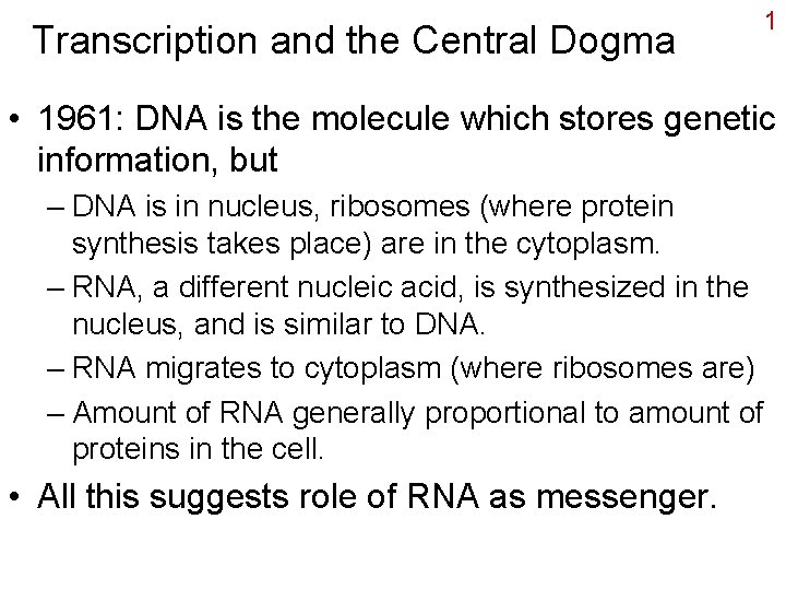 Transcription and the Central Dogma 1 • 1961: DNA is the molecule which stores