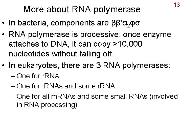 More about RNA polymerase 13 • In bacteria, components are ββ’α 2φσ • RNA