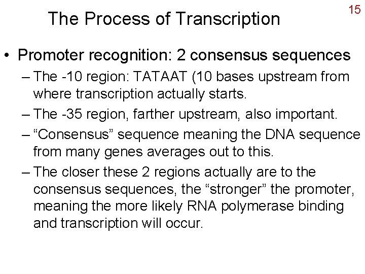 The Process of Transcription 15 • Promoter recognition: 2 consensus sequences – The -10