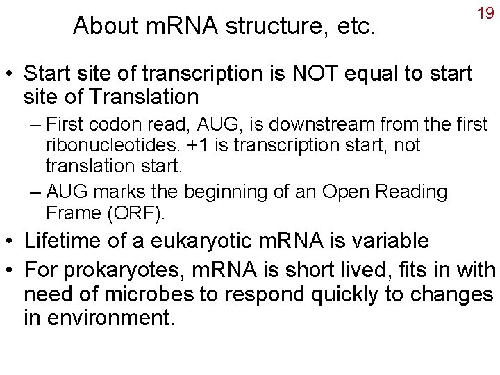 About m. RNA structure, etc. 19 • Start site of transcription is NOT equal