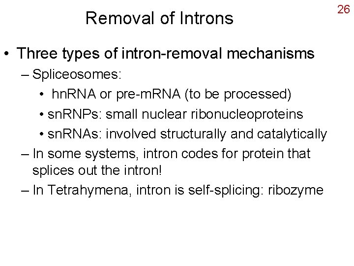 Removal of Introns • Three types of intron-removal mechanisms – Spliceosomes: • hn. RNA