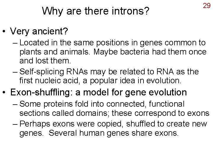 Why are there introns? 29 • Very ancient? – Located in the same positions
