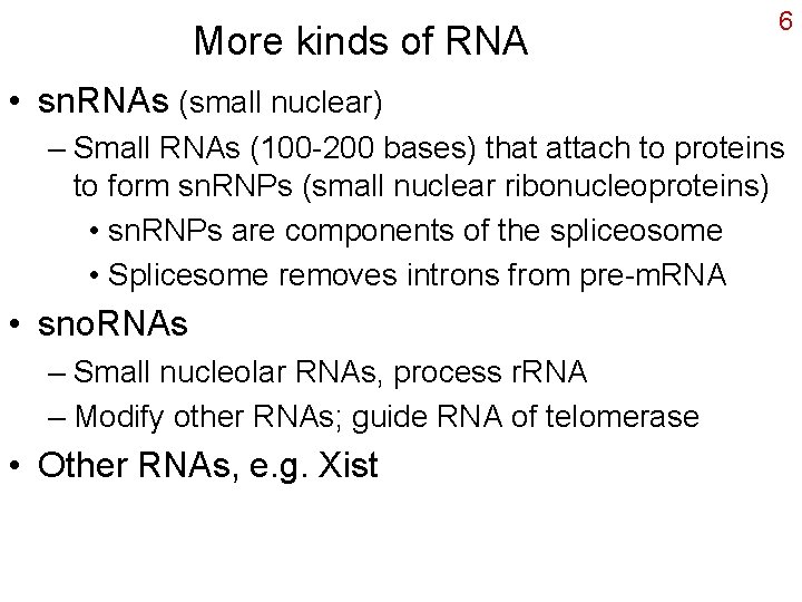 More kinds of RNA 6 • sn. RNAs (small nuclear) – Small RNAs (100