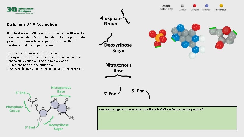 Building a DNA Nucleotide Double stranded DNA is made up of individual DNA units