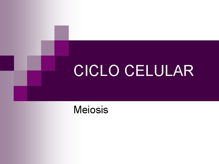 CICLO CELULAR Meiosis CICLO CELULAR Meiosis