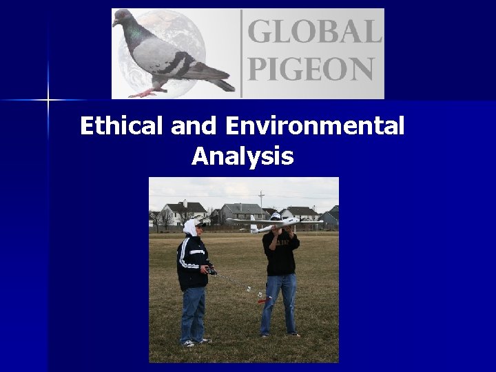 Ethical and Environmental Analysis 