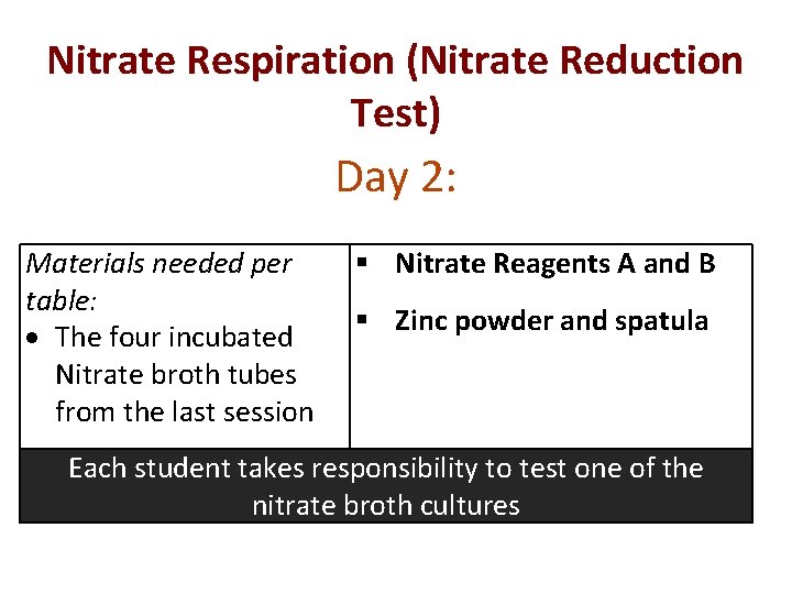 Nitrate Respiration (Nitrate Reduction Test) Day 2: Materials needed per table: The four incubated
