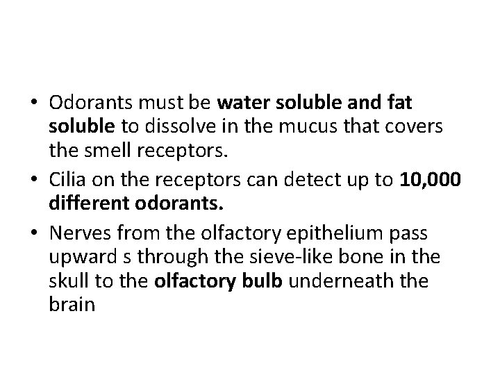 • Odorants must be water soluble and fat soluble to dissolve in the • Odorants must be water soluble and fat soluble to dissolve in the