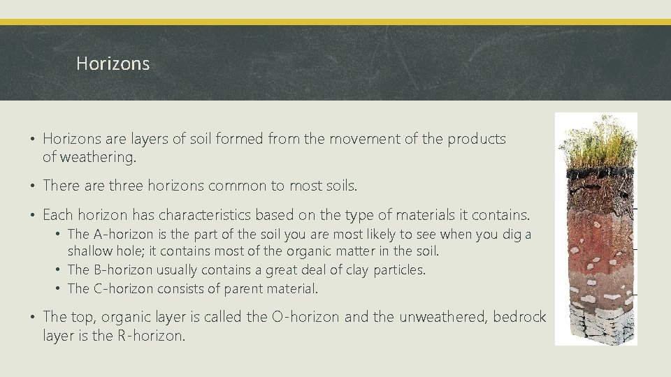 Horizons • Horizons are layers of soil formed from the movement of the products