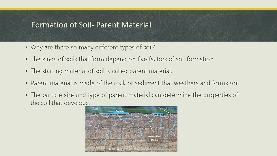 Formation of Soil- Parent Material • Why are there so many different types of