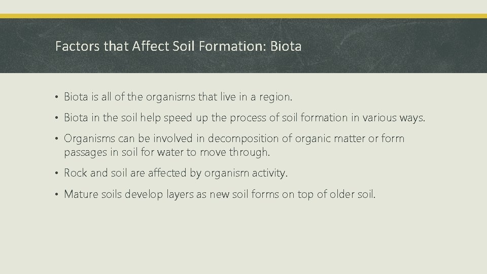 Factors that Affect Soil Formation: Biota • Biota is all of the organisms that