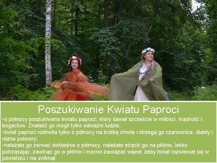 Poszukiwanie Kwiatu Paproci • o północy poszukiwano kwiatu paproci, który dawał szczęście w miłości,