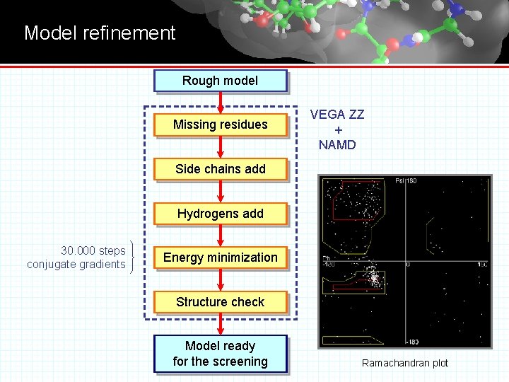 Model refinement Rough model Missing residues VEGA ZZ + NAMD Side chains add Hydrogens