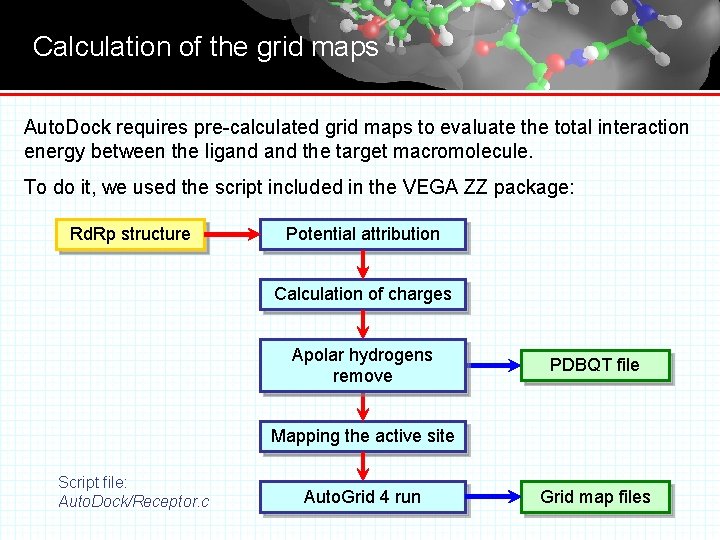 Calculation of the grid maps Auto. Dock requires pre-calculated grid maps to evaluate the